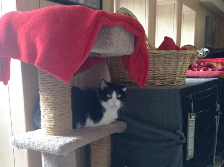 Help for The Homeless